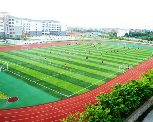 PVC球場運(yùn)動(dòng)地坪